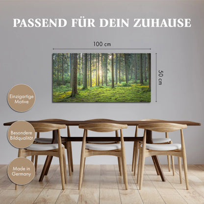 Leinwandbild grüner Wald mit Moos bei Sonnenaufgang