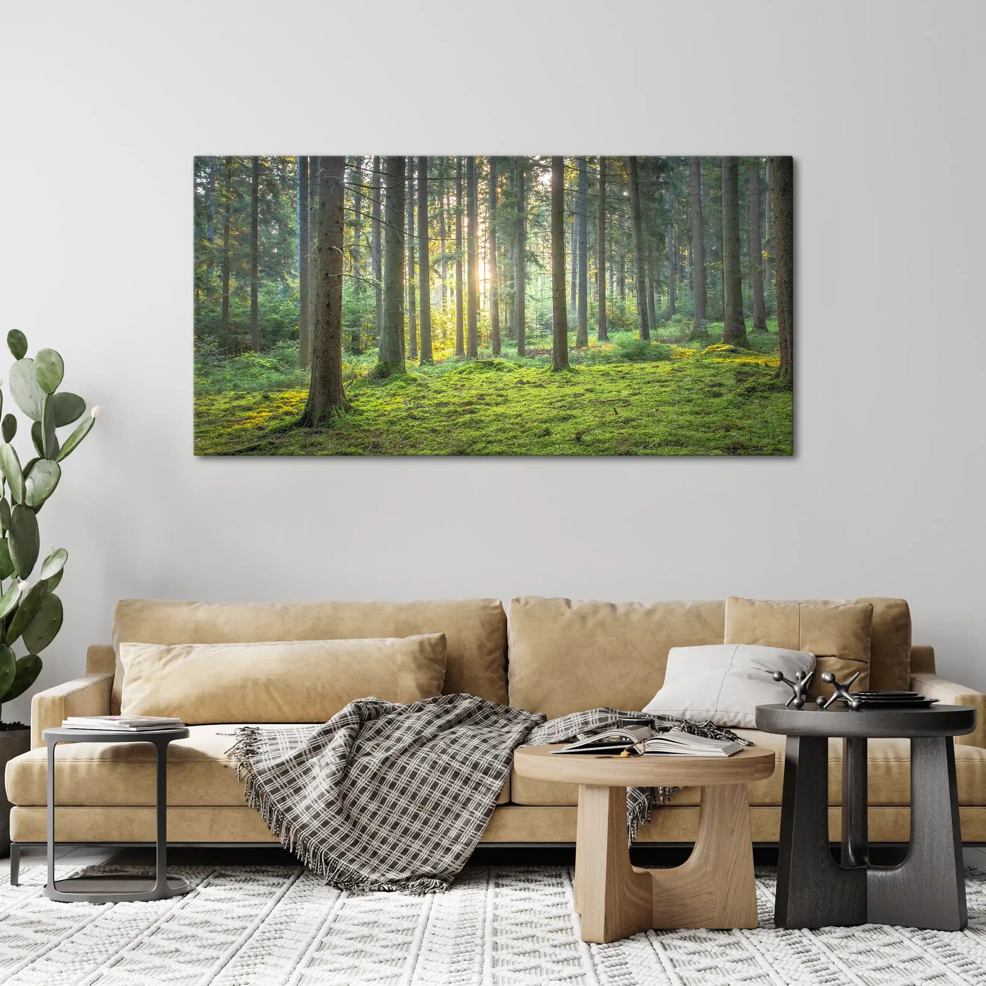 Leinwandbild grüner Wald mit Moos bei Sonnenaufgang