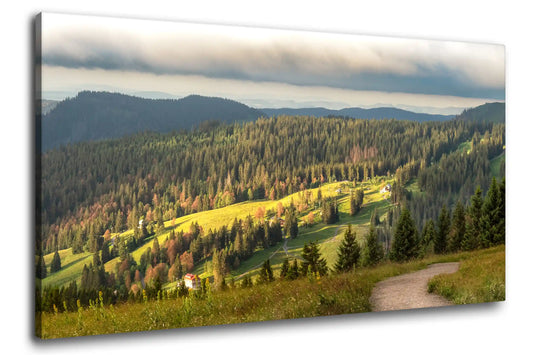 Leinwandbild Wald bei Sonnenaufgang mit Blick auf einen Hügel im Schwarzwald