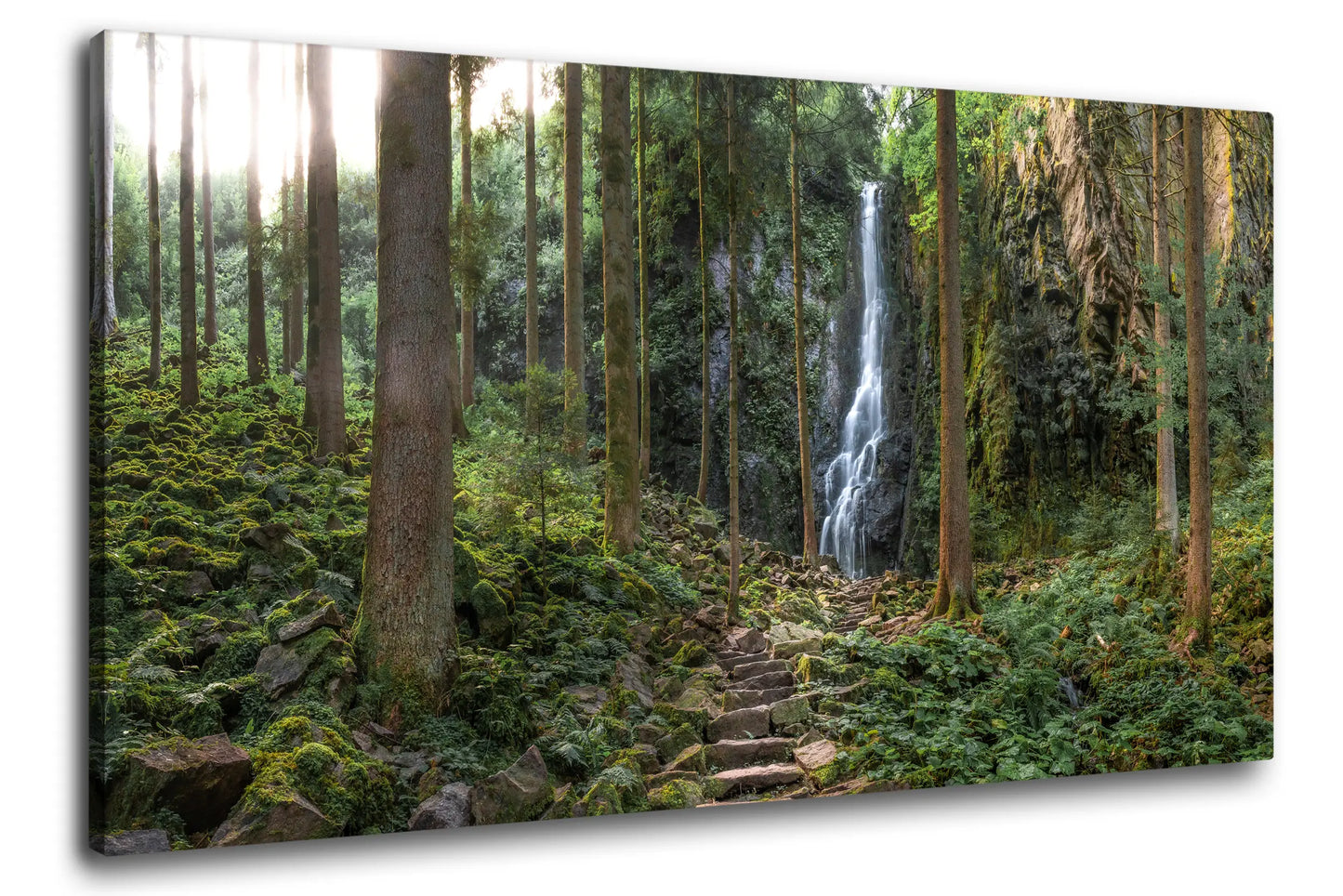 Leinwandbild Wald mit steinerner Treppe im Schwarzwald mit Wasserfall