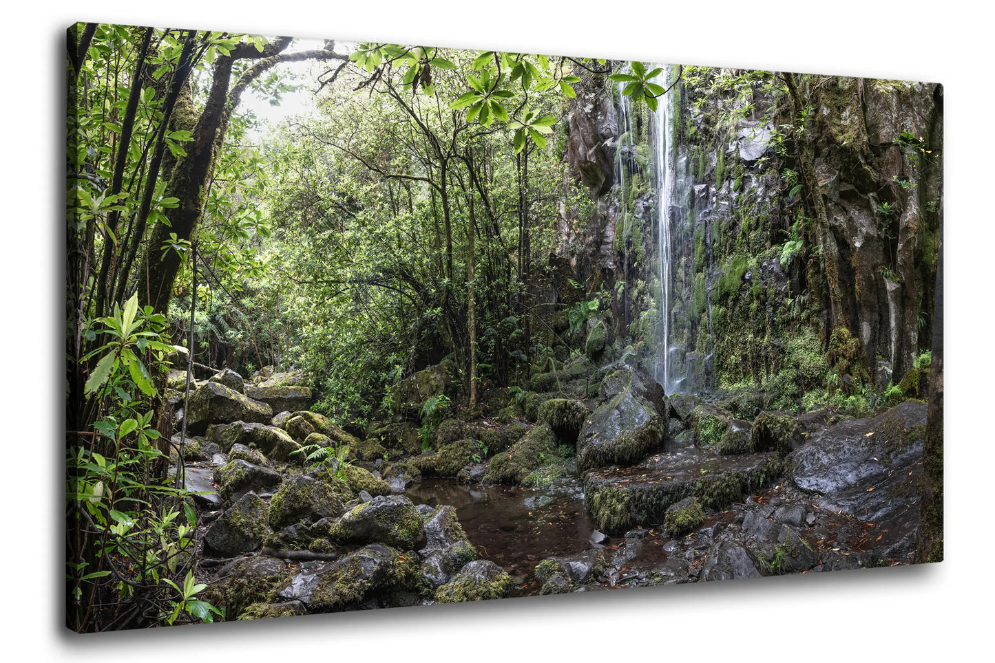 Leinwandbild Wald und Urwald an einem mystischen Wasserfall mit Nebel