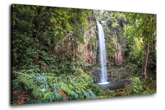 Leinwandbild Wald und Urwald an einem Wasserfall